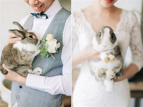 兔子 婚紗